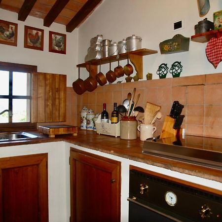 Appartamento Con Patio Privato E Giardino Tra Pisa E Firenze Palaia Eksteriør billede