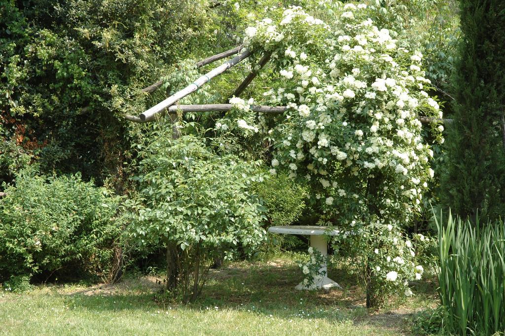 Appartamento Con Patio Privato E Giardino Tra Pisa E Firenze Palaia Eksteriør billede