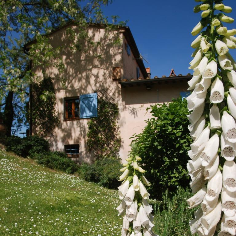 Appartamento Con Patio Privato E Giardino Tra Pisa E Firenze Palaia Eksteriør billede