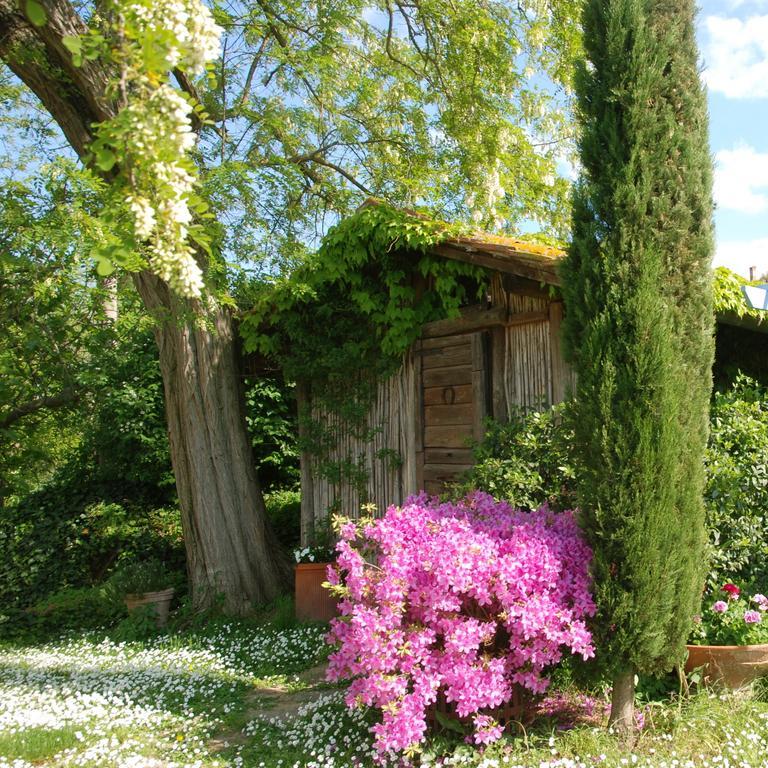 Appartamento Con Patio Privato E Giardino Tra Pisa E Firenze Palaia Eksteriør billede