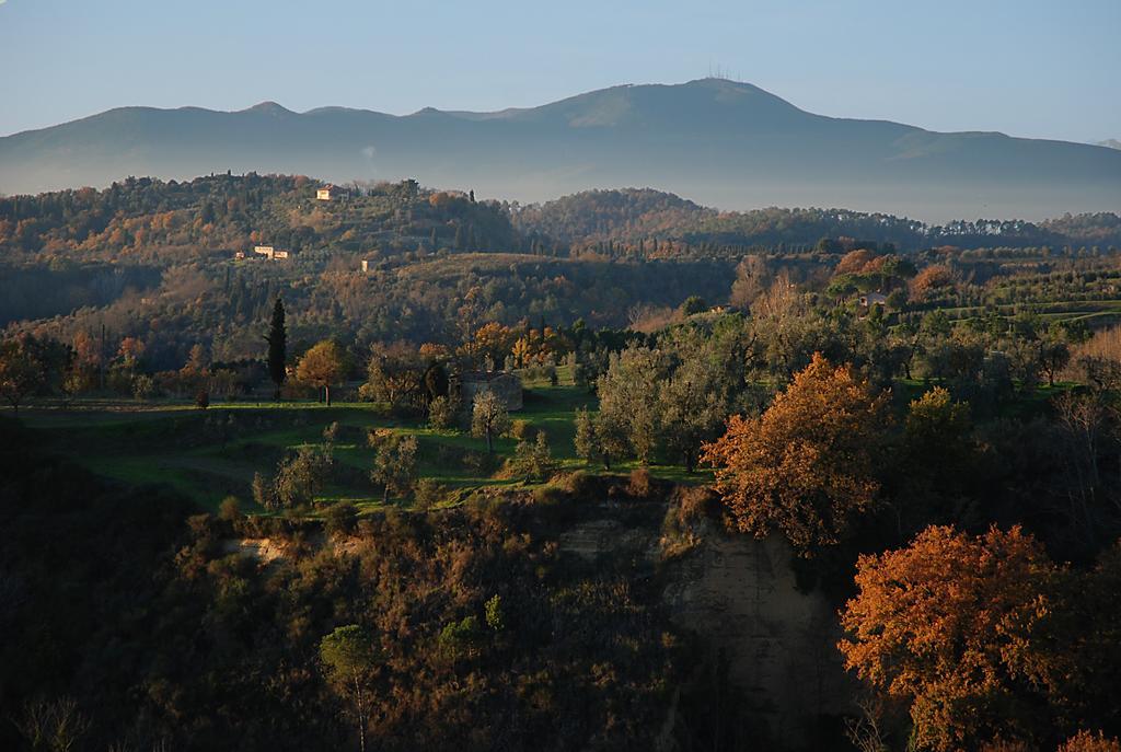 Appartamento Con Patio Privato E Giardino Tra Pisa E Firenze Palaia Eksteriør billede