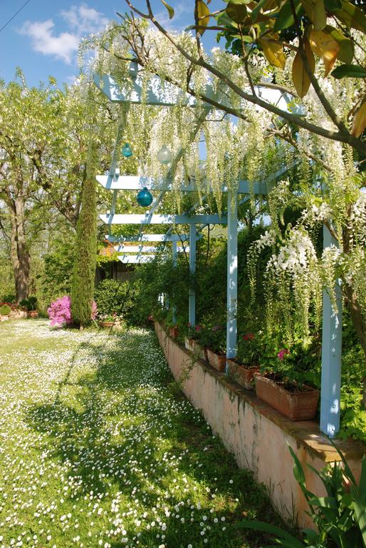 Appartamento Con Patio Privato E Giardino Tra Pisa E Firenze Palaia Eksteriør billede