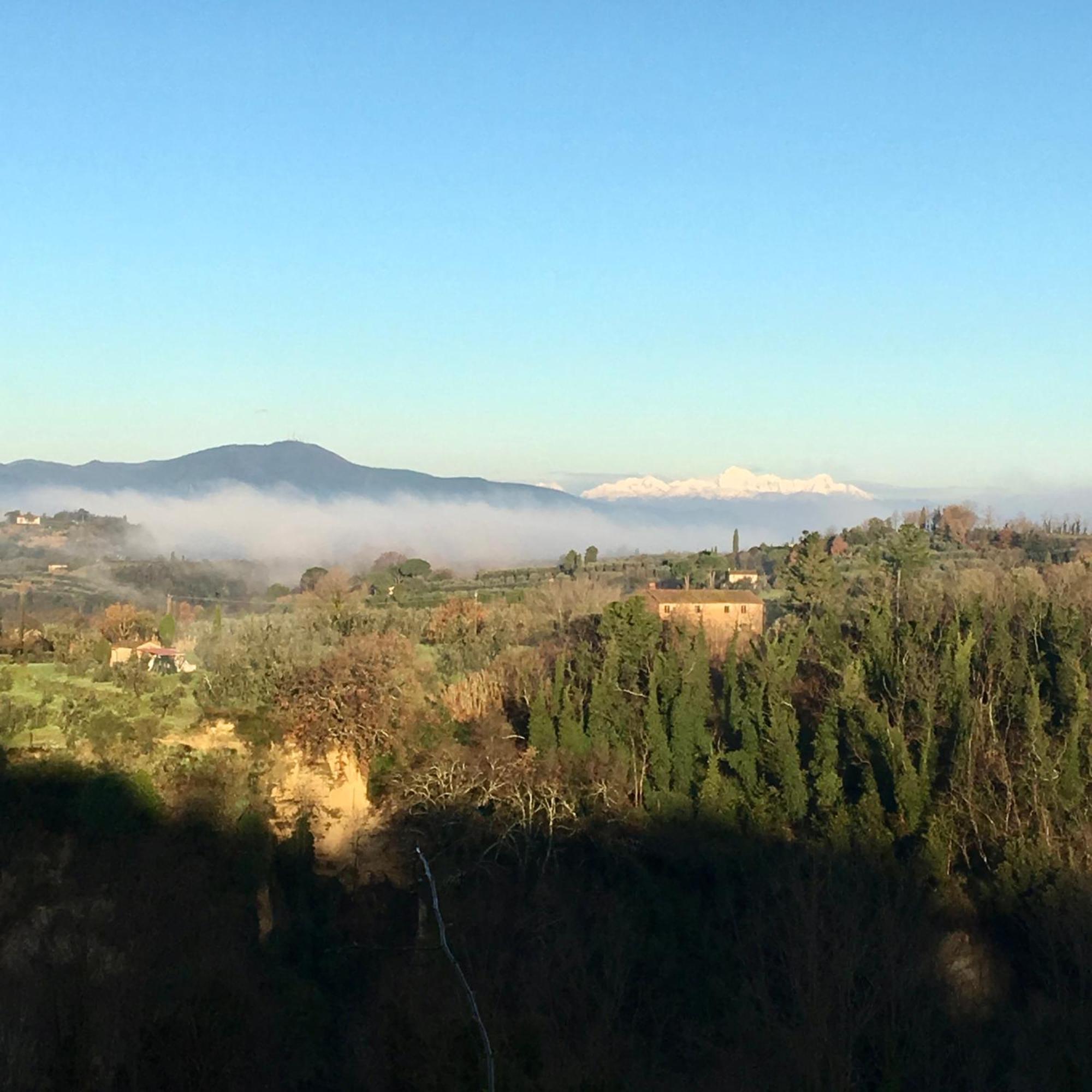 Appartamento Con Patio Privato E Giardino Tra Pisa E Firenze Palaia Eksteriør billede