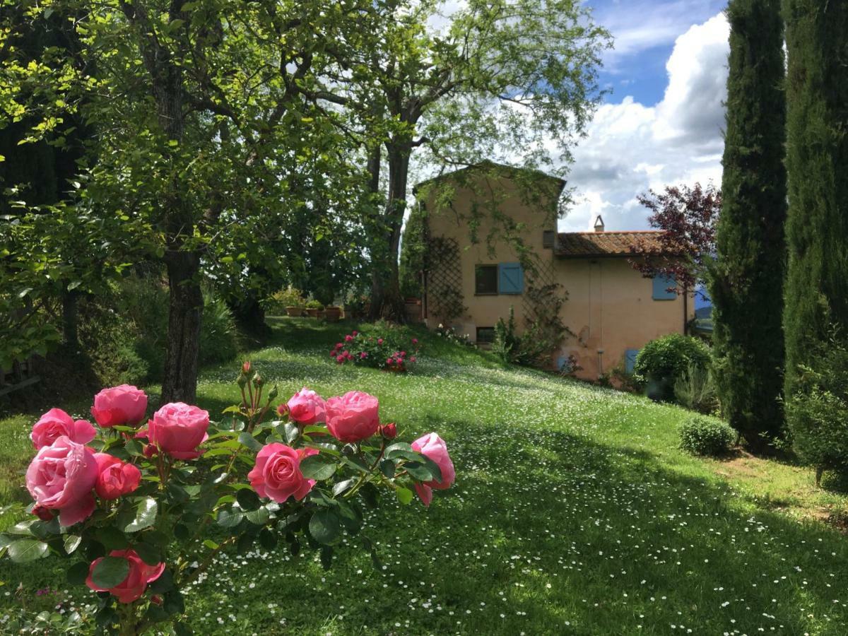 Appartamento Con Patio Privato E Giardino Tra Pisa E Firenze Palaia Eksteriør billede